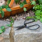Gifts for the garden
