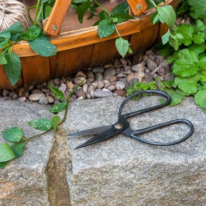 Gifts for the garden