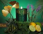 `MIAMI ART DECO 200g — BERGAMOT, ROSEWOOD & CITRUS