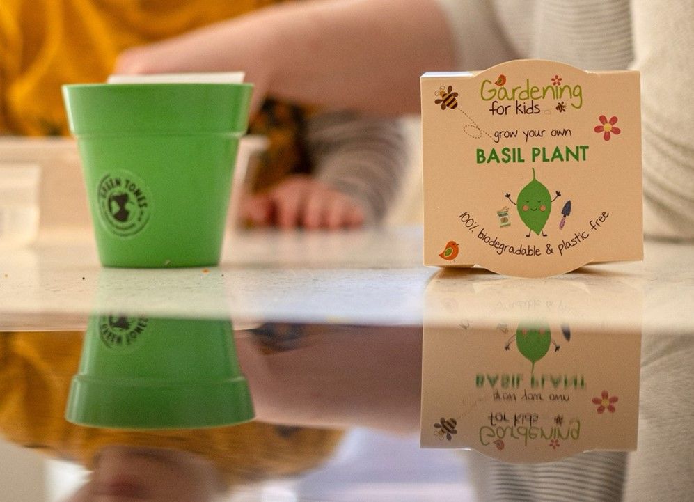 gardening for kids basil plant