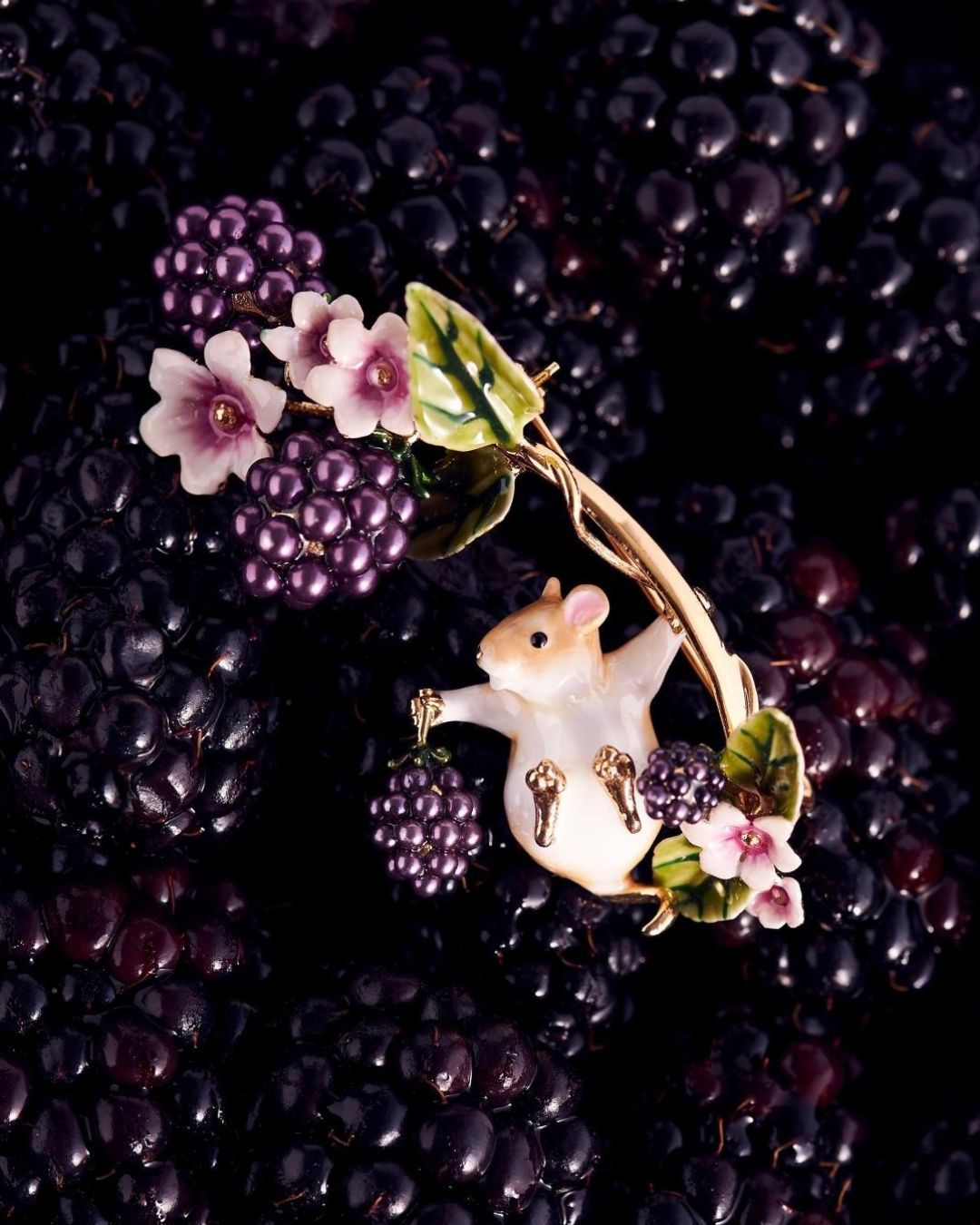 Cover image - Bill Skinner Studio