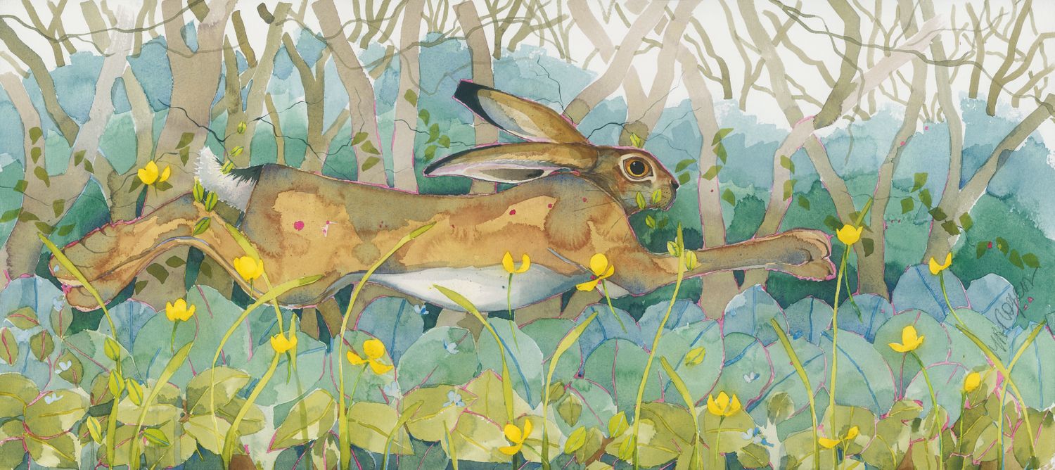 Cover image - Mary Ann Rogers