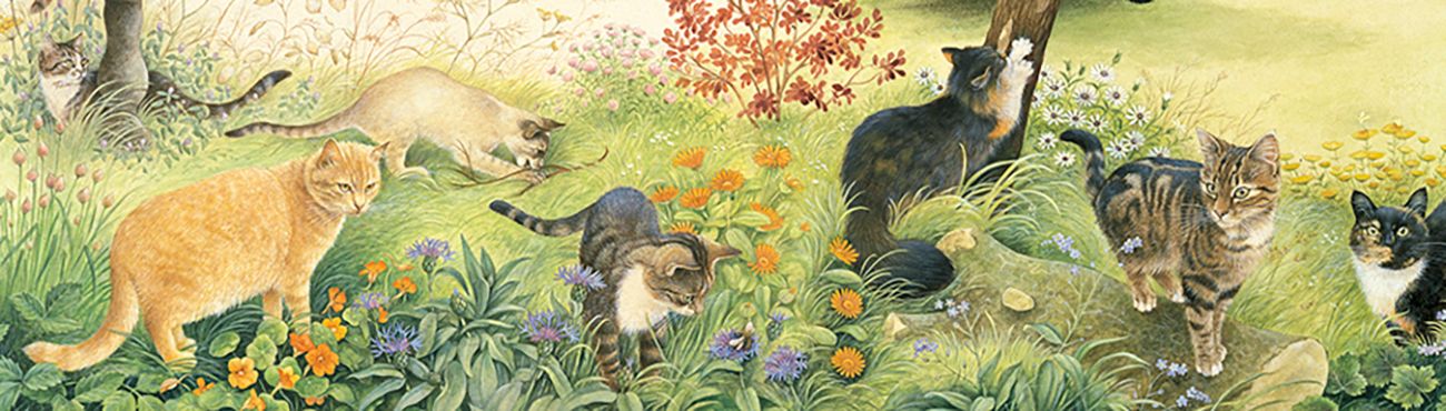 Cover image - Natural Partners Limited