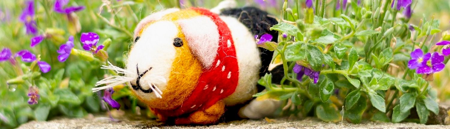 Cover image - Amica Accessories/ Feltworks