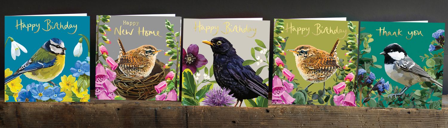 Cover image - Sarah Kelleher