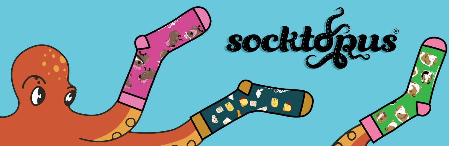 Cover image - Socktopus Ltd