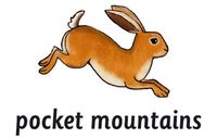 Company name - Pocket Mountains Ltd