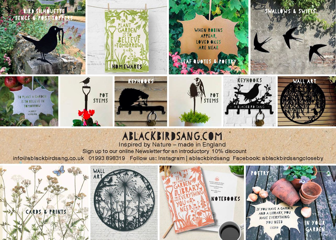 Cover image - A Blackbird Sang