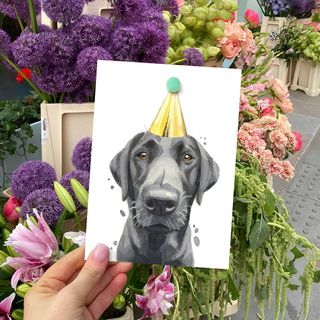 Exhibitor profile image for Robert James Hull