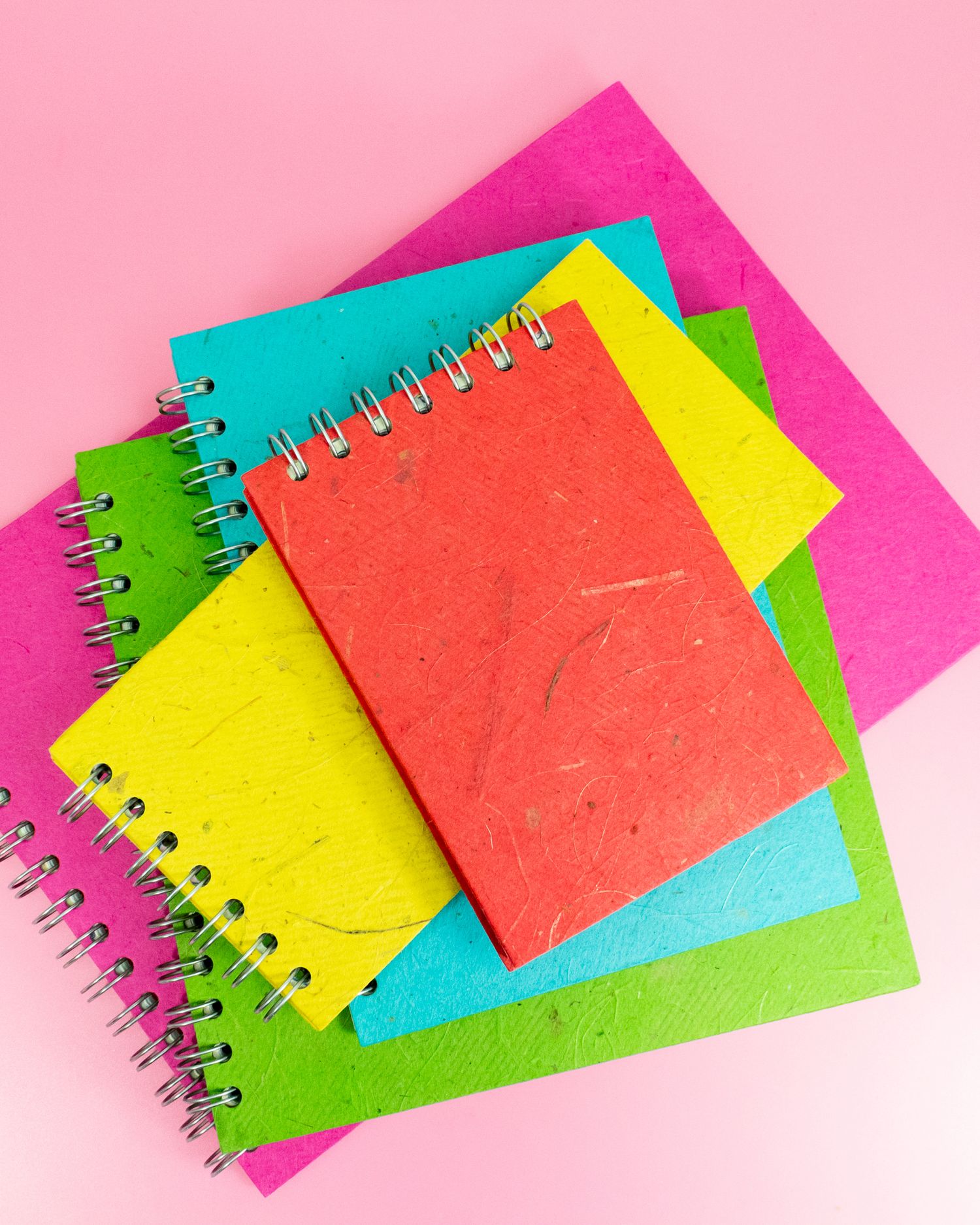 Cover image - Pink Pig