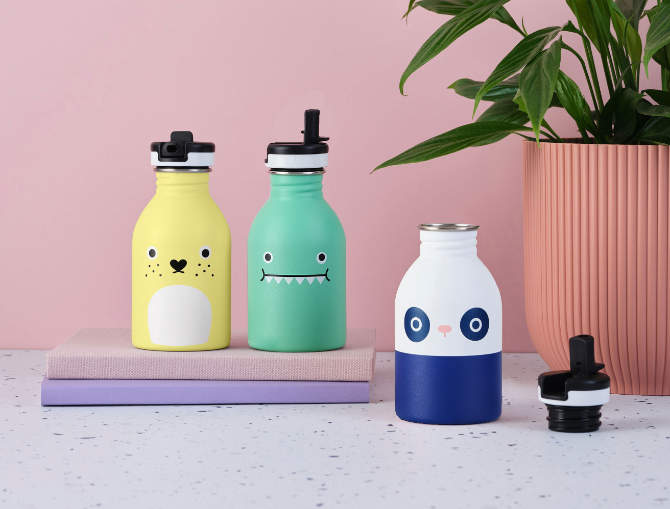 Bottle Collection
