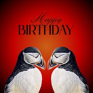 5C Designs Birthday Brights Range