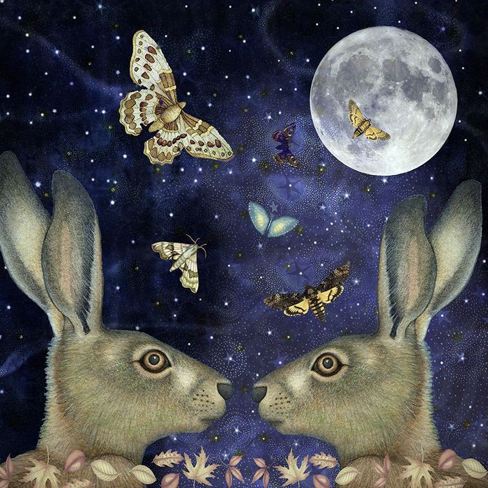 Kate Green greeting cards range