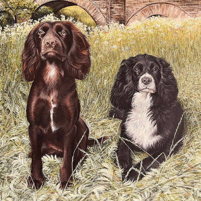 Vicky Tucker greeting cards range