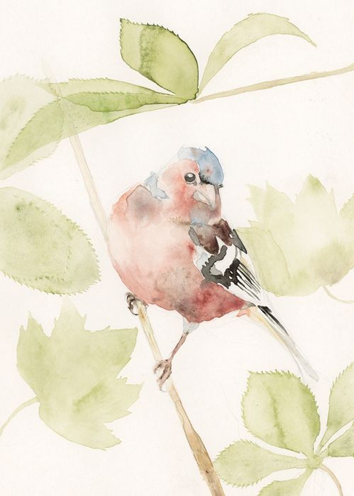 Andy Broderick greeting cards range