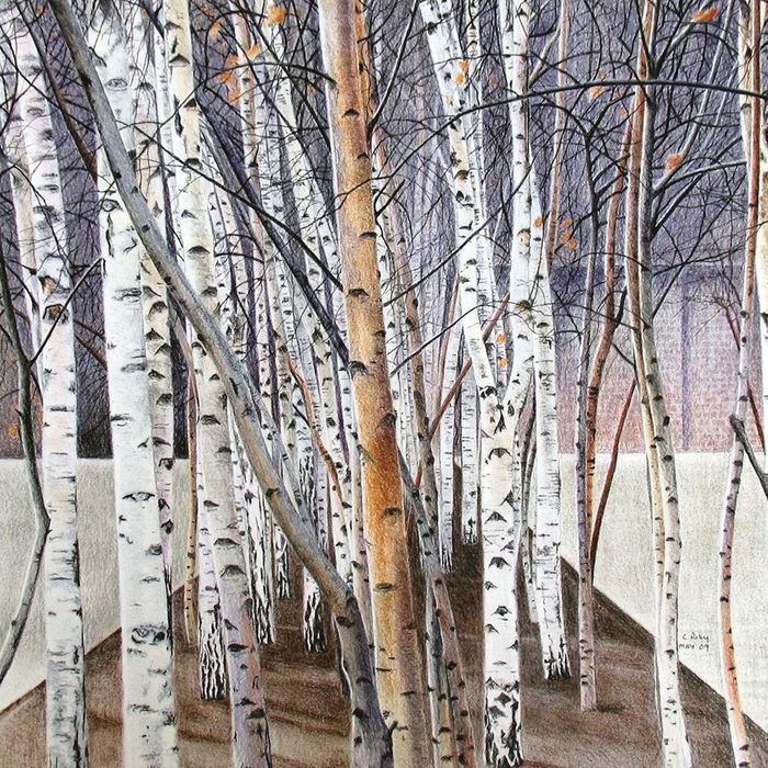 Caroline Riley greeting cards range