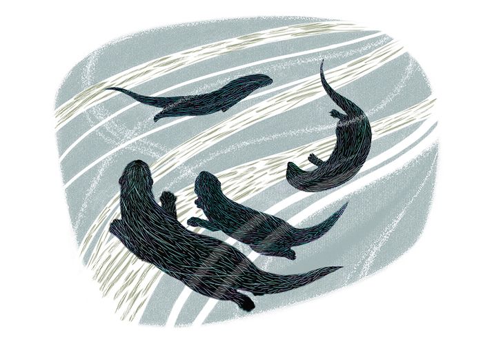 Ray Ogden greeting cards range