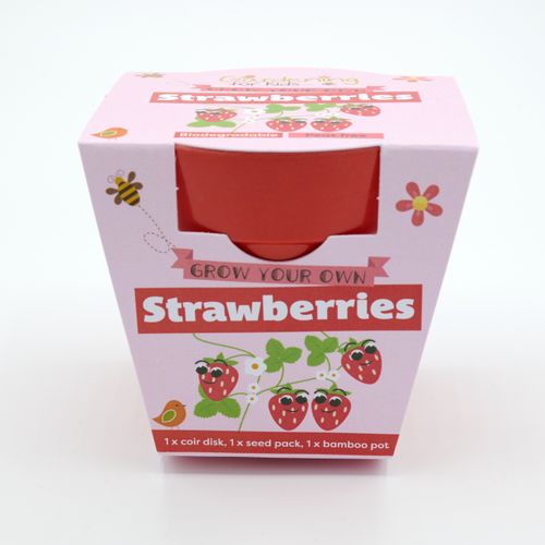 Best Seller!  Grow Your Own Strawberries