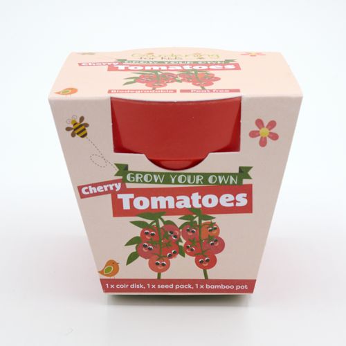 Grow Your Own Cherry Tomatoes