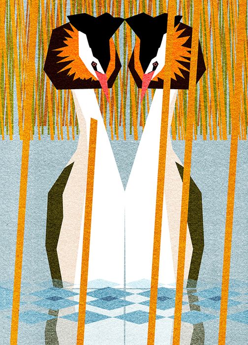 Christopher McColl greeting cards range