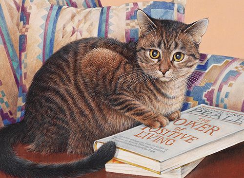 Lesley Anne Ivory greeting cards range