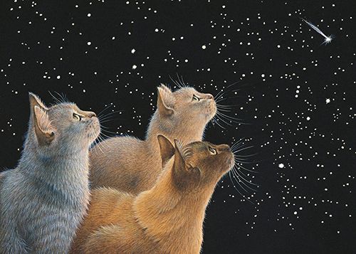 Lesley Anne Ivory greeting cards range