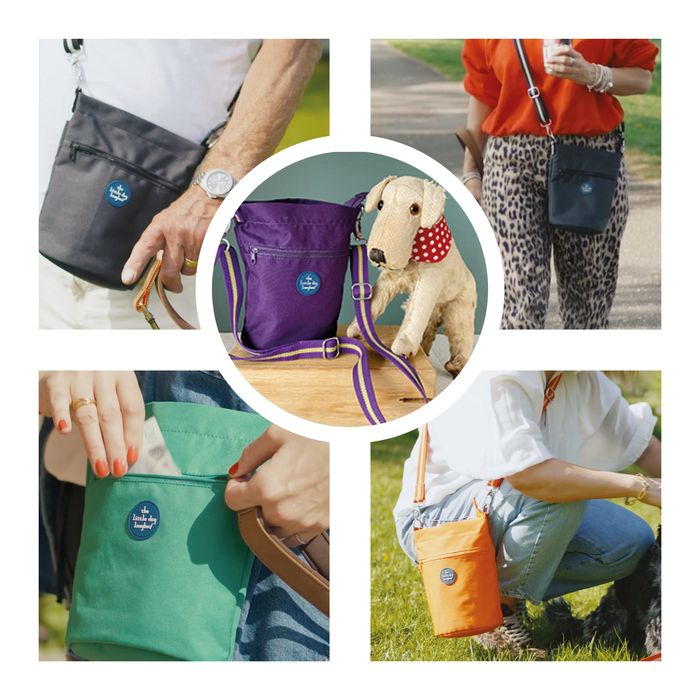 Pet Accessories