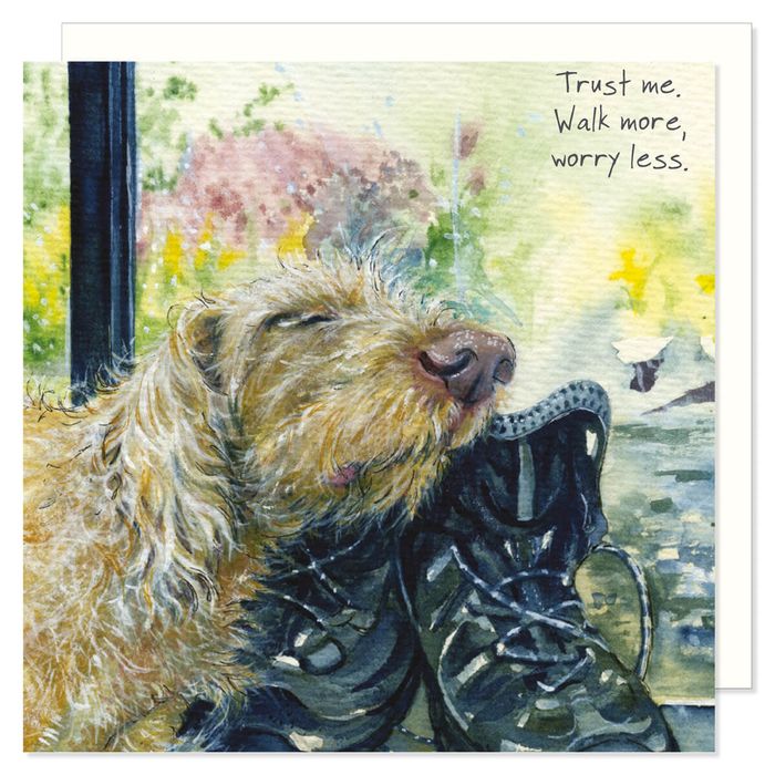 Greeting Cards 