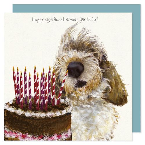 Greeting Cards 