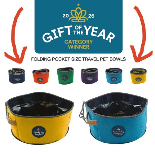 GIFT OF THE YEAR | 2024, 2025 & 2026