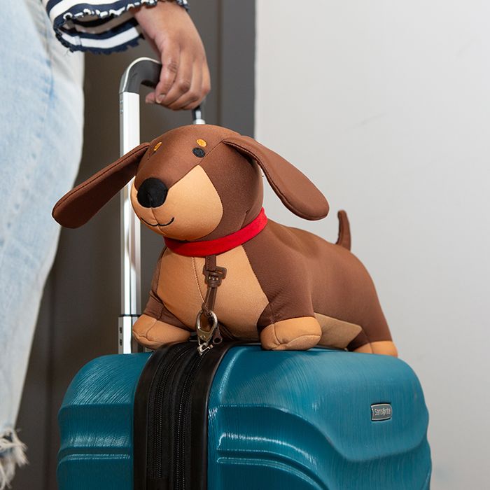 ZIP & FLIP DACHSHUND PILLOW