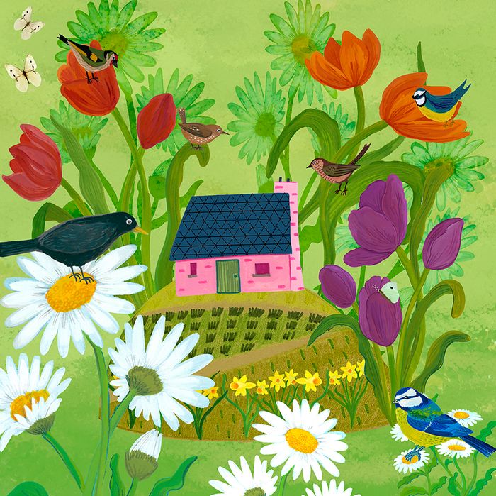 Kay Widdowson greeting cards range