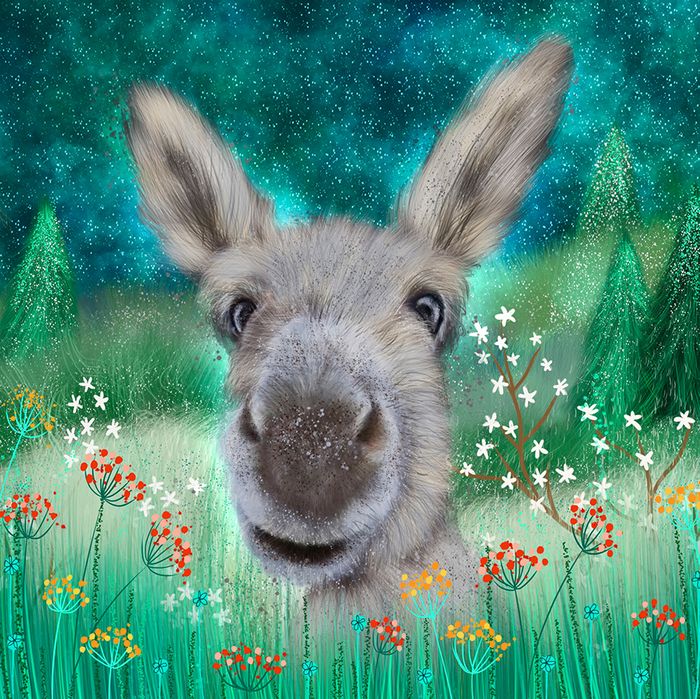 Lia Contrino greeting cards range.