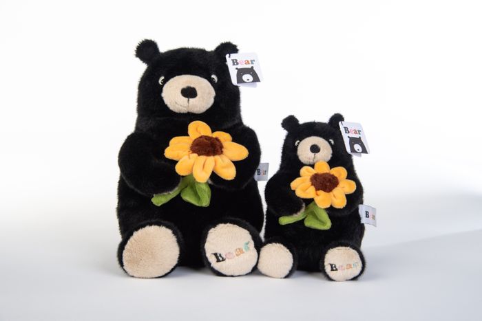 Plush Bear Toys