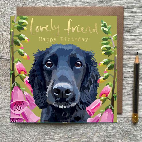 Pets - Foiled and blank