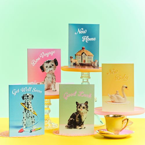 The Cutest Occasion Cards