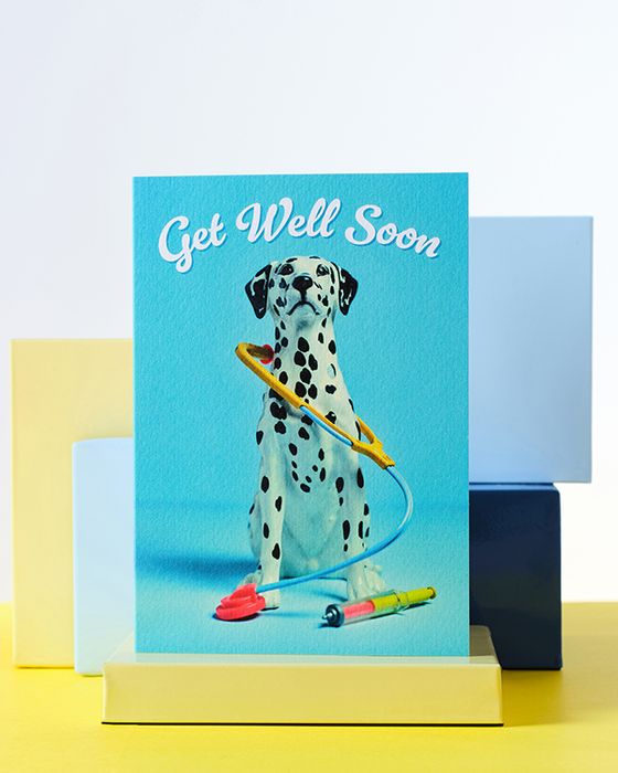 The Cutest Occasion Cards