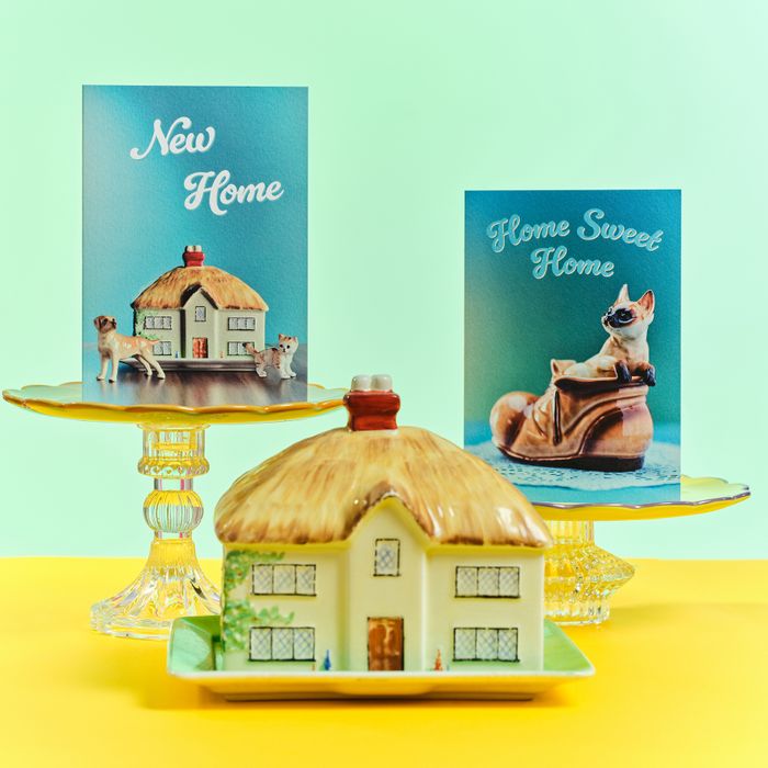 The Cutest Occasion Cards