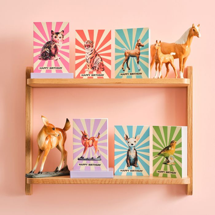 Best Selling Birthday Cat Cards