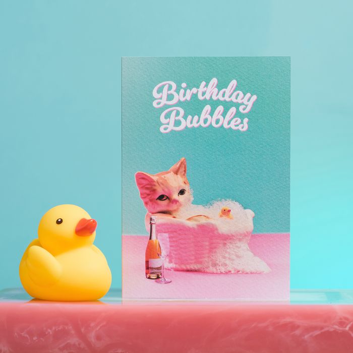Best Selling Birthday Cat Cards