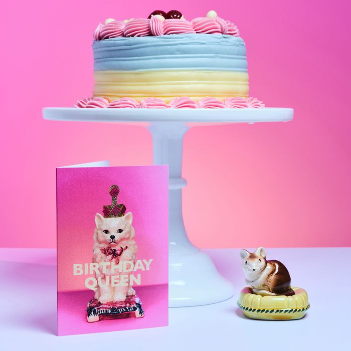Best Selling Birthday Cat Cards