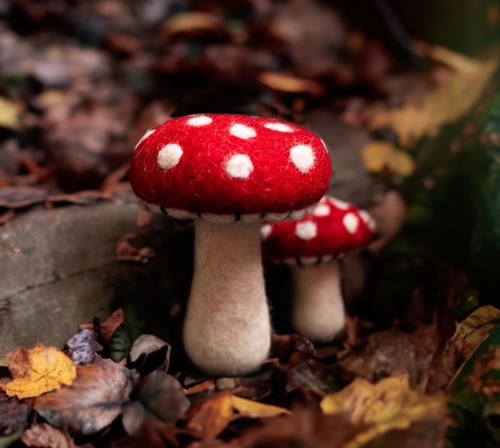 Autumn Decorations