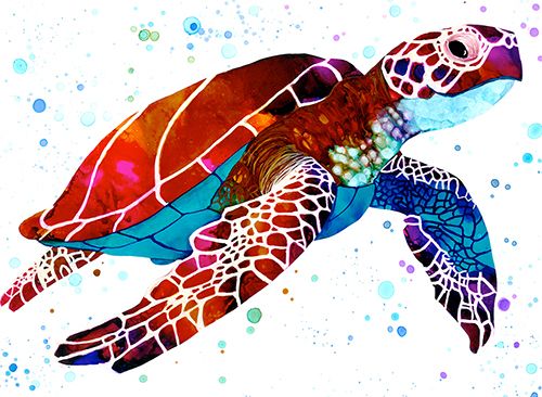 Katrina Mansfield greeting cards range