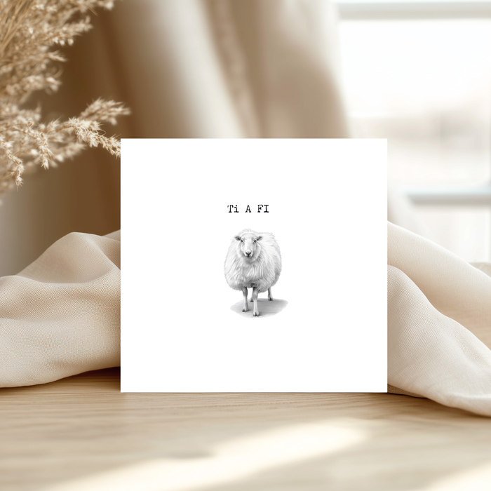 Welsh Greeting Card Collection