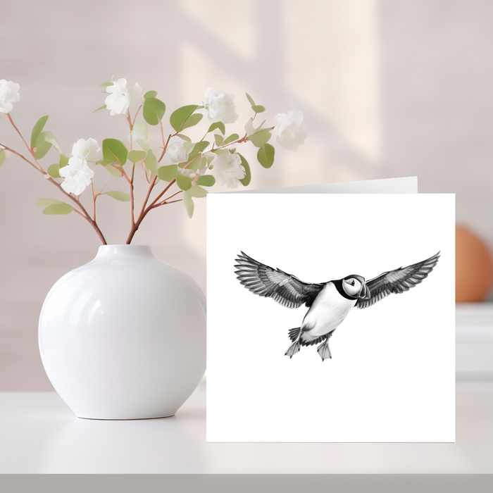 Puffin Greeting Card Collection