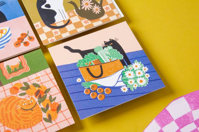Sunpatch Cats