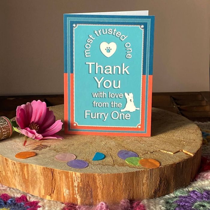 Cards From The Dog