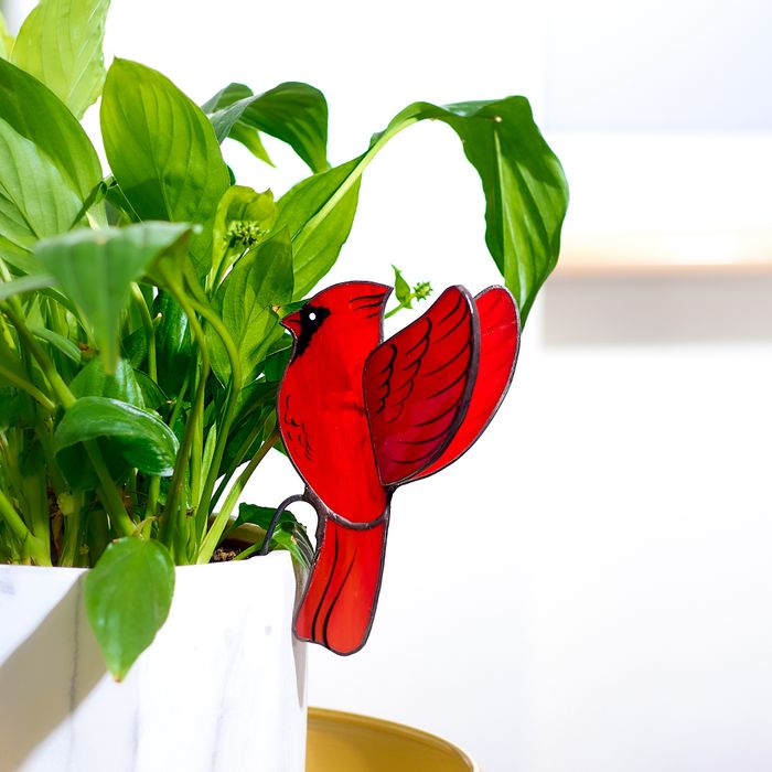 3D Cardinal Bird Plant Pot Decoration