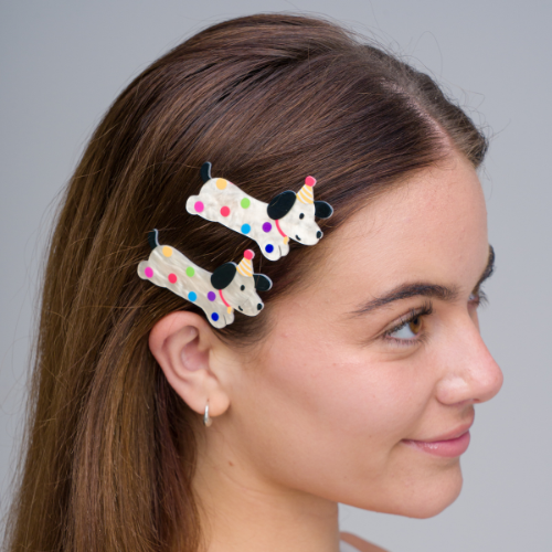 HH0853 B-Day Dog Hair Clips Twin Pack