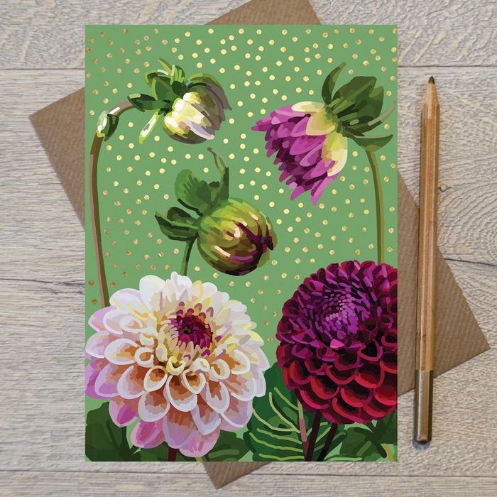 Dahlias